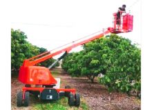 果園采摘車(chē) 閱讀次數(shù)：814